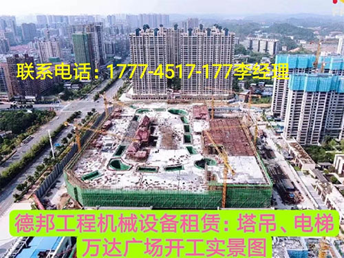 萬(wàn)達(dá)廣場(chǎng)、岳麓青城一二三期   租賃塔吊、電梯實(shí)情
